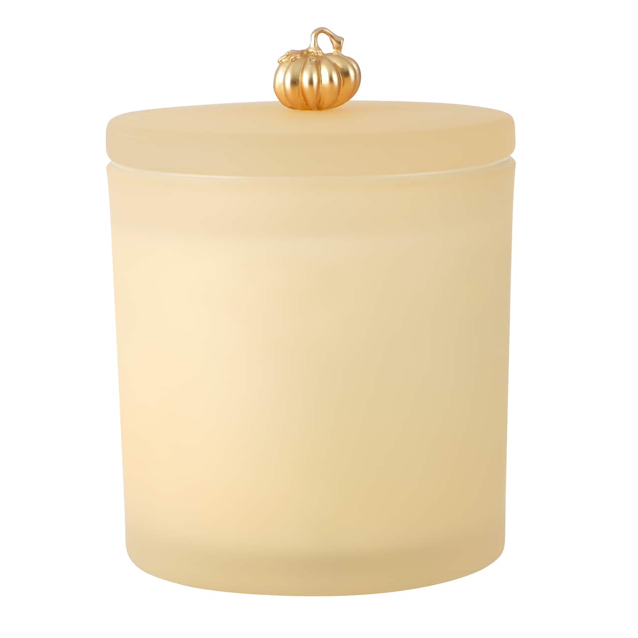 14oz. Scented Fall Icon Filled Candle in Frosted Glass Jar by Ashland®